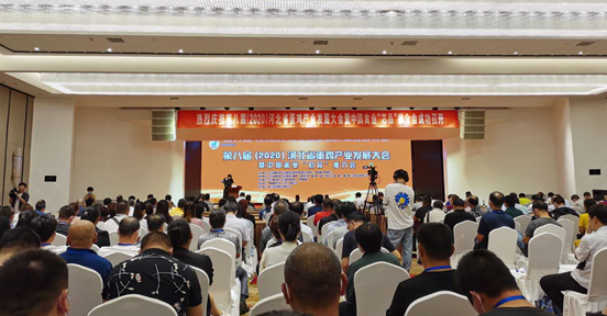 曲周乐天使fun88成功承办第八届河北省蛋鸡产业发展大会“乐天使fun88之夜欢迎晚会”