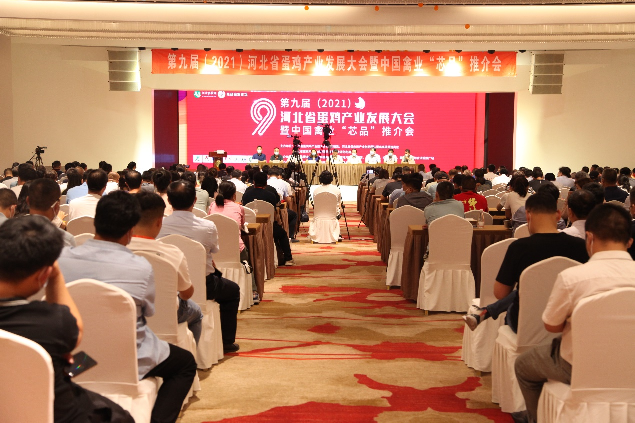 乐天使fun88公司受邀出席第九届河北省蛋鸡产业发展大会