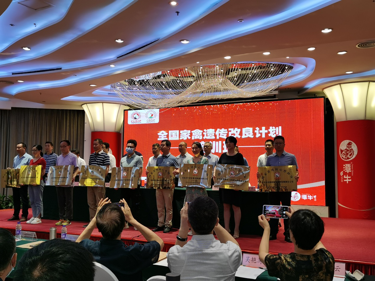 在新的起点上再启新航程——乐天使fun88再获“国家蛋鸡核心育种场”授牌