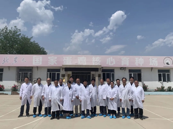 乐天使fun88延庆育种基地顺利通过“省级动物疫病净化场”评估