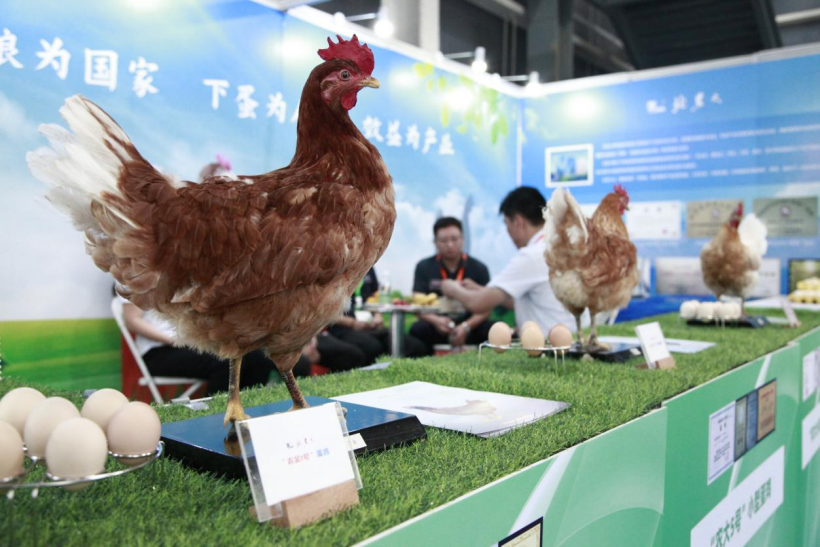 乐天使fun88精彩亮相第三十届中国北京种业大会