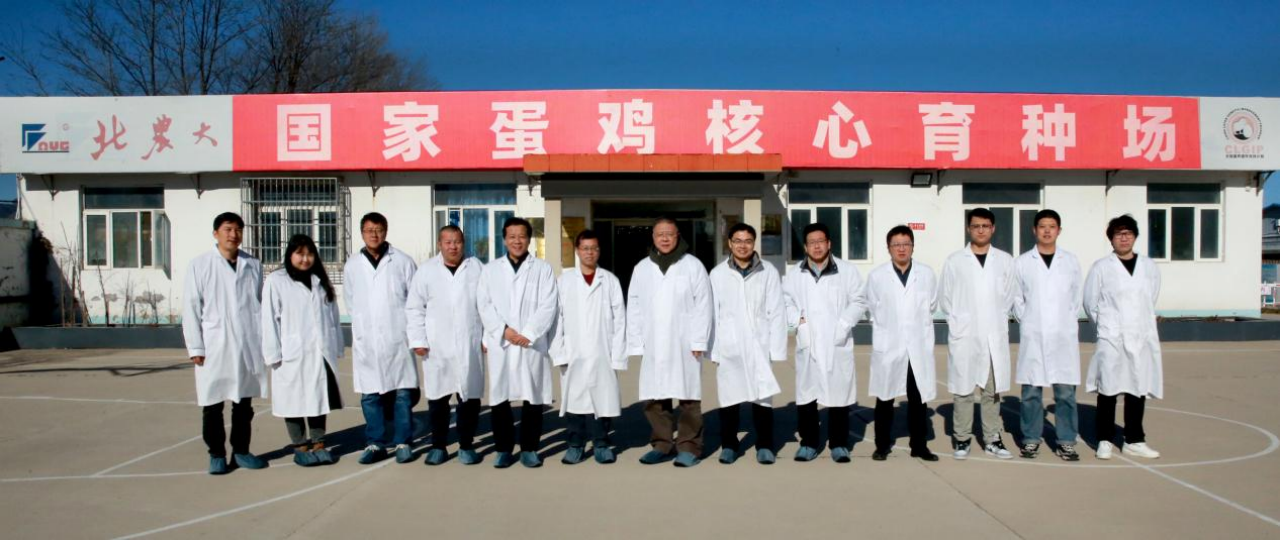 乐天使fun88北京延庆育种基地通过国家畜禽核心育种场现场核验